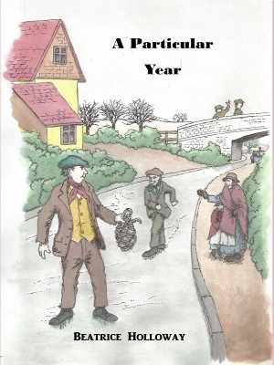 A Particular Year by Beatrice Holloway 9781913294229
