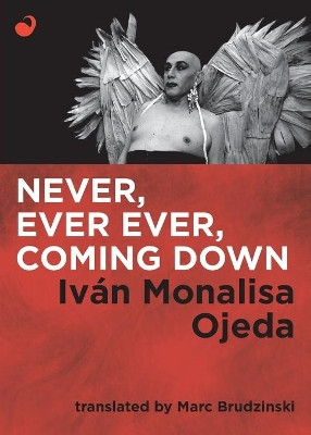 Never, Ever Ever, Coming Down by Ivan Monalisa Ojeda 9789568681449
