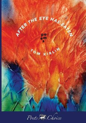 After the Eye Has Eaten by Tom Kirlin 9781737165316