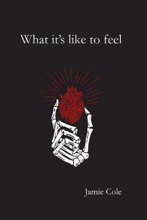 What it's like to feel by Jamie Cole 9798869265296