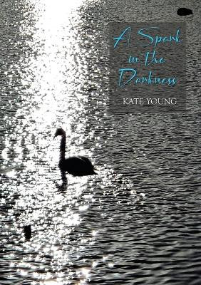 A Spark in the Darkness by Kate Young 9781913499167