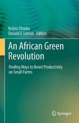 An African Green Revolution: Finding Ways to Boost Productivity on Small Farms by Keijiro Otsuka 9789401783682