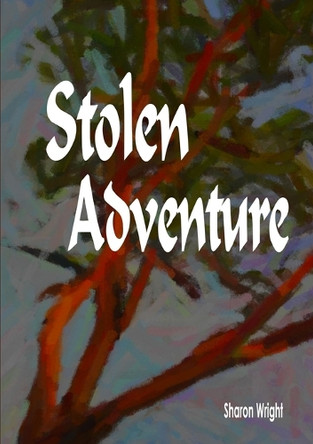 Stolen Adventure by Sharon Wright 9781291843774