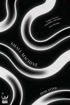 Small Machine by Demi Anter 9781838033231