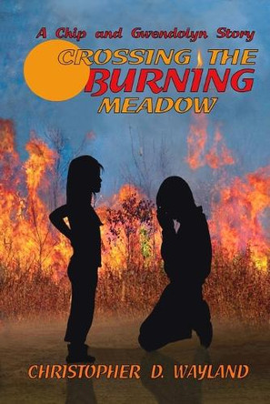 Crossing the Burning Meadow by Christopher D Wayland 9798330530564