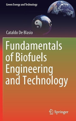 Fundamentals of Biofuels Engineering and Technology by Cataldo De Blasio 9783030115982