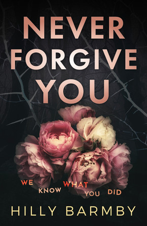 Never Forgive You by Hilly Barmby 9781915817396