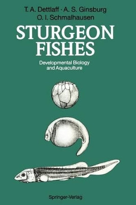 Sturgeon Fishes: Developmental Biology and Aquaculture by T. A. Dettlaff 9783642770593