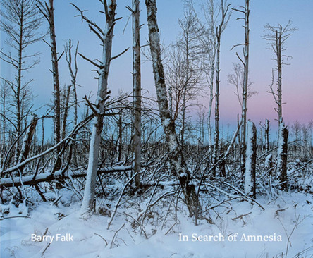 In Search of Amnesia by Barry Falk 9783969001844