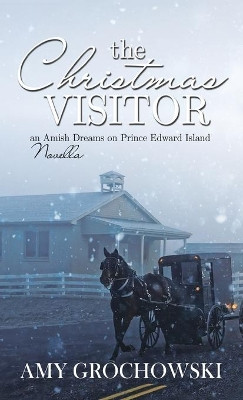 Christmas Visitor by Amy Grochowski 9781649602909