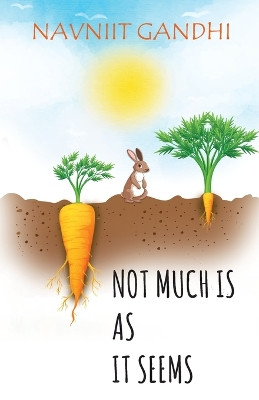 Not Much is as it Seems by Navniit Gandhi 9789392963094
