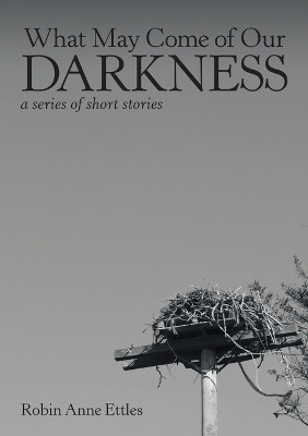 What May Come of Our Darkness: a series of short stories by Robin Anne Ettles 9781999463007