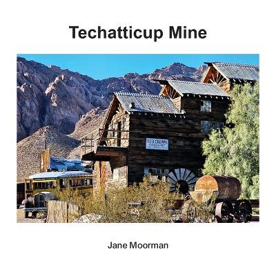 Techatticup Mine by Jane Moorman 9798330234530