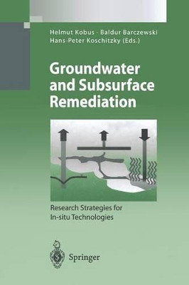 Groundwater and Subsurface Remediation: Research Strategies for In-situ Technologies by Helmut Kobus 9783642457524