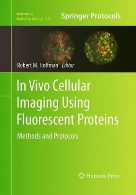 In Vivo Cellular Imaging Using Fluorescent Proteins: Methods and Protocols by Robert Hoffman 9781493961498