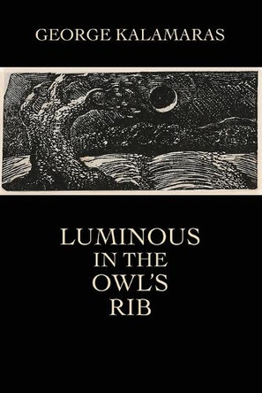 Luminous in the Owl's Rib by George Kalamaras 9781948017619
