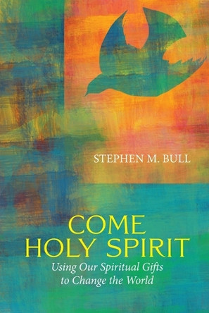 Come Holy Spirit: Using Our Spiritual Gifts to Change the World by Stephen M Bull 9781958061381