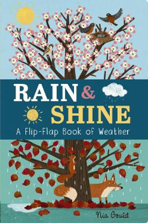 Rain & Shine: A Flip-Flap Book of Weather by Molly Littleboy