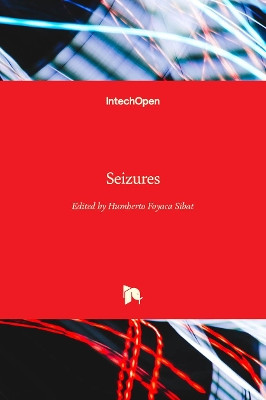 Seizures by Humberto Foyaca Sibat 9781789230048