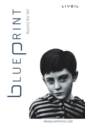 Blueprint: Beyond the Veil by Brian Ireland 9781504318143