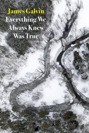 Everything We Always Knew Was True by James Galvin 9781556594922