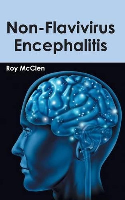 Non-Flavivirus Encephalitis by Roy McClen 9781632413000