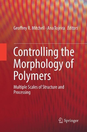 Controlling the Morphology of Polymers: Multiple Scales of Structure and Processing by Geoffrey R. Mitchell 9783319818665