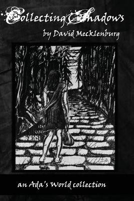 Collecting Shadows by David Mecklenburg 9781590929421