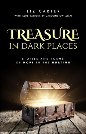 Treasure in Dark Places: Stories and poems of hope in the hurting by Liz Carter 9781838205607