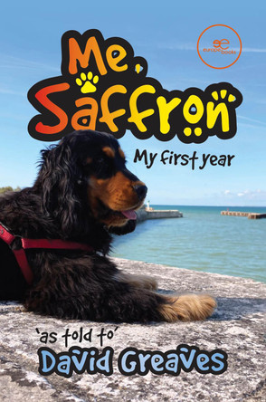 ME, SAFFRON (MY FIRST YEAR): 2024 by David Greaves 9791220148849