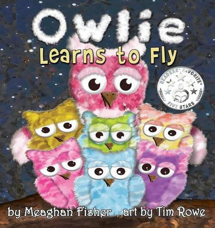 Owlie Learns to Fly by Meaghan Fisher 9781938768538