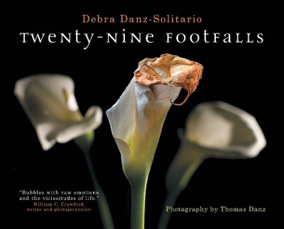 Twenty-Nine Footfalls by Debra Danz-Solitario 9783952509432