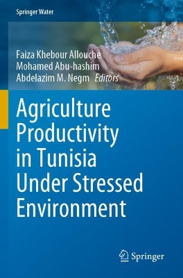Agriculture Productivity in Tunisia Under Stressed Environment by Faiza Khebour Allouche 9783030746629