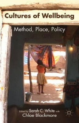Cultures of Wellbeing: Method, Place, Policy by Sarah C. White 9781137536440