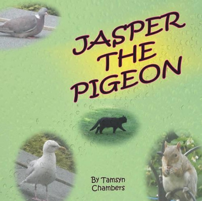 Jasper the Pigeon by Tamsyn Chambers 9781780355702
