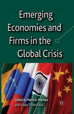 Emerging Economies and Firms in the Global Crisis by Marin Marinov 9781349447152