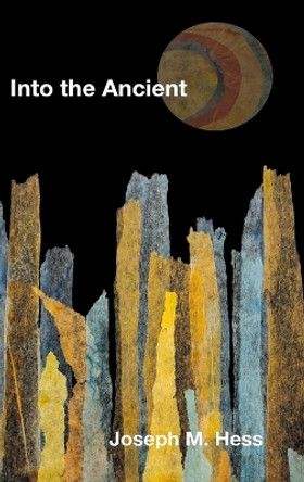 Into the Ancient by Joseph M Hess 9798888385890
