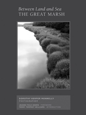 Between Land and Sea: The Great Marsh: Photographs by Dorothy Kerper Monnelly by  9781646570119