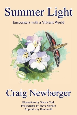 Summer Light: Encounters with a Vibrant World by Craig Newberger 9781951620196