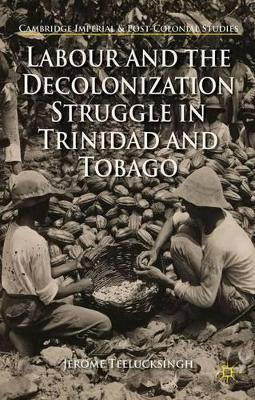 Labour and the Decolonization Struggle in Trinidad and Tobago by Jerome Teelucksingh 9781137462329
