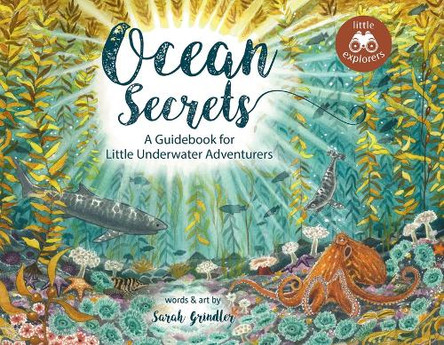 Ocean Secrets: A Guidebook for Little Underwater Adventurers by Sarah Grindler 9781774713600