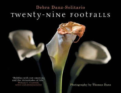 Twenty-Nine Footfalls by Debra Danz-Solitario 9783952509401