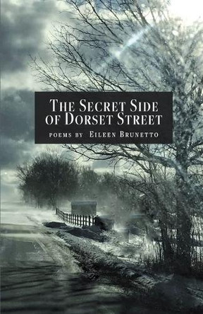 The Secret Side of Dorset Street by Eileen Brunetto 9798888388129