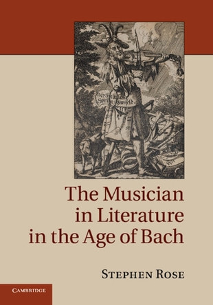 The Musician in Literature in the Age of Bach by Stephen Rose 9781107428041