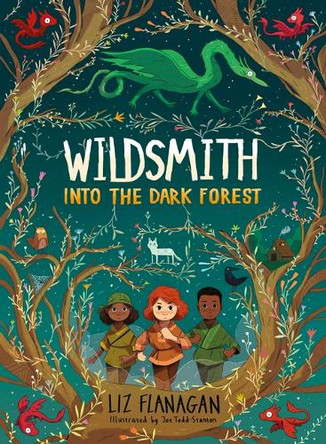 Into the Dark Forest by Liz Flanagan 9781454956419