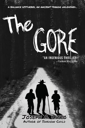 The Gore by Joseph A Citro 9781959346784