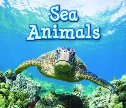 Sea Animals by Sian Smith