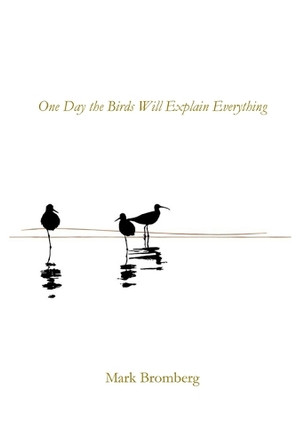 One Day the Birds Will Explain Everything by Mark Bromberg 9781960326980