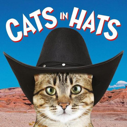 Cats in Hats by  9781781453476