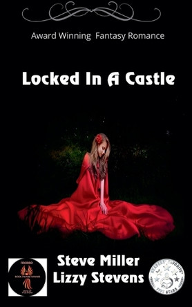 Locked In A Castle by Lizzy Stevens 9798230817468